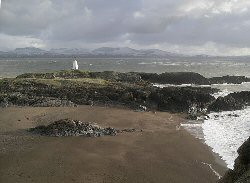 Llandwyn