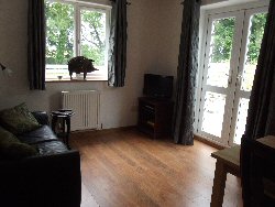 Living/Dining Area
